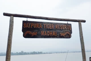 mp satpura tiger reserve solar boat brought soon