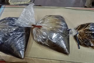 AmberGris worth 25 crore seized