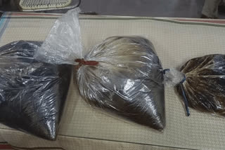 Rs 25 crores worth AmberGris seized in Thoothukudi  AmberGris seized in Thoothukudi  തിമിംഗല ഛര്‍ദ്ദി  കടലിലെ നിധി  AmberGris illegal trade  തിമിംഗല ഛര്‍ദ്ദി തൂത്തുക്കുടിയില്‍ പിടിച്ചെടുത്തത്