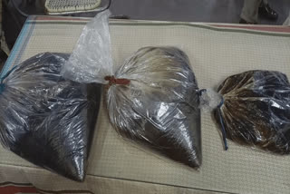 Rs 25 crores worth AmberGris seized in Thoothukudi