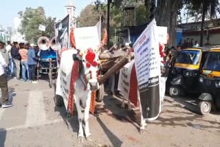 Bullock cart rally of MNREGA workers
