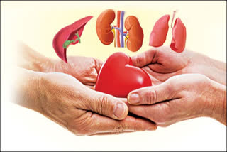 organ donation