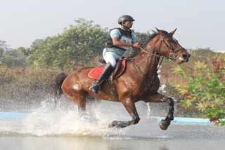 National horse riding competition ends