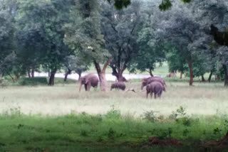 Picnic Spot in palamu