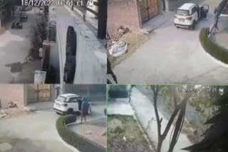 Firing on Stray dog Video Viral