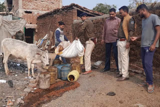 illegal liquor distilleries