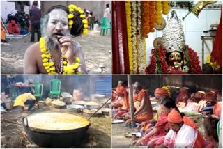 Sadhu Mela in Laxmanpur Village of Howrah before Gangasagar Mela 2023