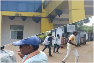 Bee attack in composite building of Dhamtari