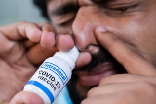 nasal spray corona vaccine