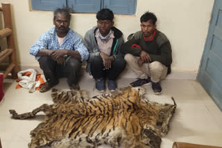 balaghat tiger skin smuggling