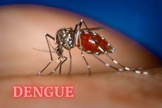 Two people Death of dengue in Delhi