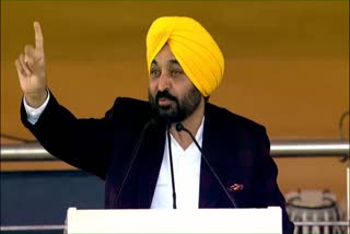 The incredible sacrifice of the little Sahibzades will continue to inspire humanity to fight against tyranny oppression and injustice Chief Minister Bhagwant Mann