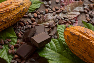 The history of chocolate: when money really did grow on trees