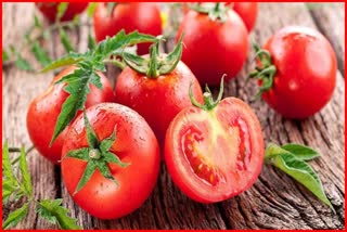 Tomato is beneficial for health