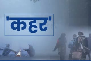 cold wave on new year in haryana