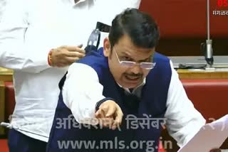 Devendra Fadnavis speaking in Legislative Council