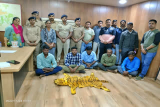 GUJARAT: Poached tiger, leopard skin seized, 27 held