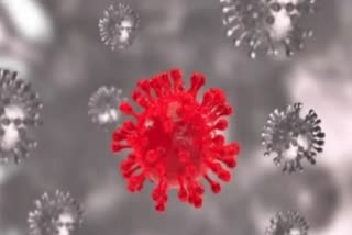coronavirus infections