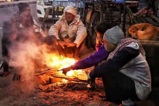 Winter cold in north India