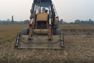 Illegal brick industry in Behali