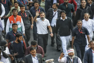 Rahul Gandhi during Bharat Jodo Yatra