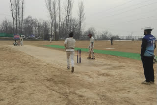 cricketers spend Eight lakhs to construct turf wicket