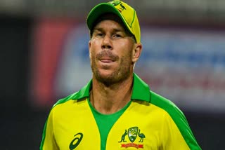 David Warner On Worldcup