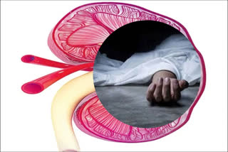 Two people died with kidney disease