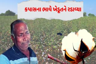 farmers not getting affordable prices of cotton
