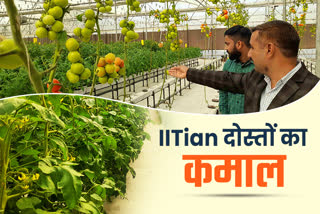 Hydroponic Farming in Kota, Indoor Farming Can Change the Climate
