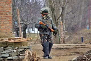 Search operation in Shopian