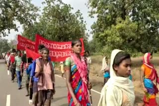 tribal protest in malkangiri