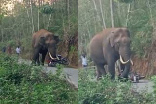 wild elephant padayappa attack in idukki  wild elephant padayappa  wild elephant attack  elephant attack in idukki  കാട്ടുകൊമ്പൻ പടയപ്പ  പടയപ്പ  കാട്ടാന പടയപ്പ  കാട്ടാനയാക്രമണം ഇടുക്കി  ബൈക്ക് തകർത്ത് കാട്ടാന  കാട്ടാന ആക്രമണ ദൃശ്യങ്ങൾ  ഇടുക്കി കാട്ടാന ആക്രമണം  പടയപ്പ ആന