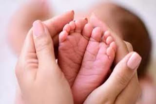 birth of conjoined twins in bhagalpur
