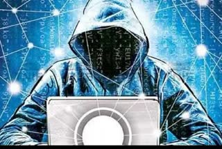 cyber Crime in Faridabad