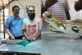 snake surgery in Karnataka