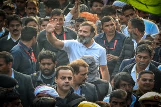 RAHUL IN BHARAT JODO YATRA