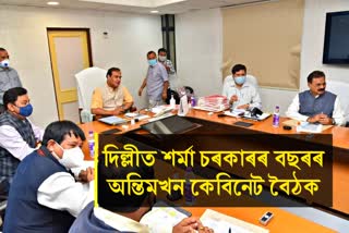 Cabinet Meeting in Delhi