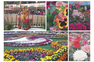 Flowers Show at Gopal Maidan Jamshedpur