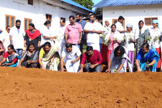 പച്ചക്കറി കൃഷിയുമായി രാജകുമാരി  vegetable farming rajakumari health Center idukki  vegetable farming rajakumari  rajakumari health Center vegetable farming  vegetable farming  vegetable farming in idukki  organic farming  vegetable cultivation  agriculture in idukki rajakumari  രാജകുമാരി പച്ചക്കറി കൃഷി  പച്ചക്കറി കൃഷി  പച്ചക്കറി  രാജകുമാരി  രാജകുമാരി പ്രാഥമികാരോഗ്യ കേന്ദ്രം  രാജകുമാരി പ്രാഥമികാരോഗ്യ കേന്ദ്രത്തിലെ കൃഷി  സമഗ്ര പച്ചക്കറി വികസന പദ്ധതി  പച്ചക്കറി കൃഷി