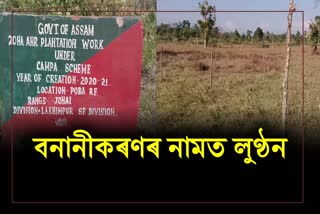 Corruption in the name of Reforestation in Poba Reserve Forest in Dhemaji