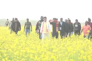 Majuli MLA mustard cultivation