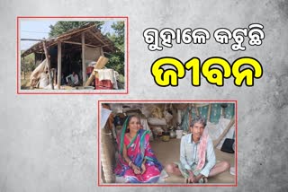 Old couple stay in Cattle shelter