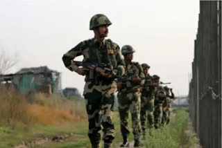 BSF in Punjab killed Pak intruders, seized drugs, weapons