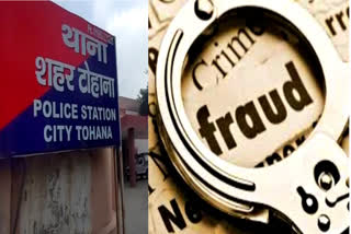 cyber fraud in fatehabad elderly fraud in fatehabad cyber crime in fatehabad