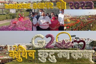 flower show in ahmedabad