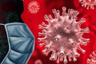 Coronavirus Update,  Coronavirus positive in India and Punjab