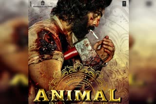 Animal first look