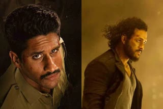 akkineni heroes naga chaitanaya and akhil movie updates