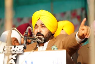 Statement of Chief Minister Bhagwant Mann regarding Badal family and Dhindsa family in Sangrur